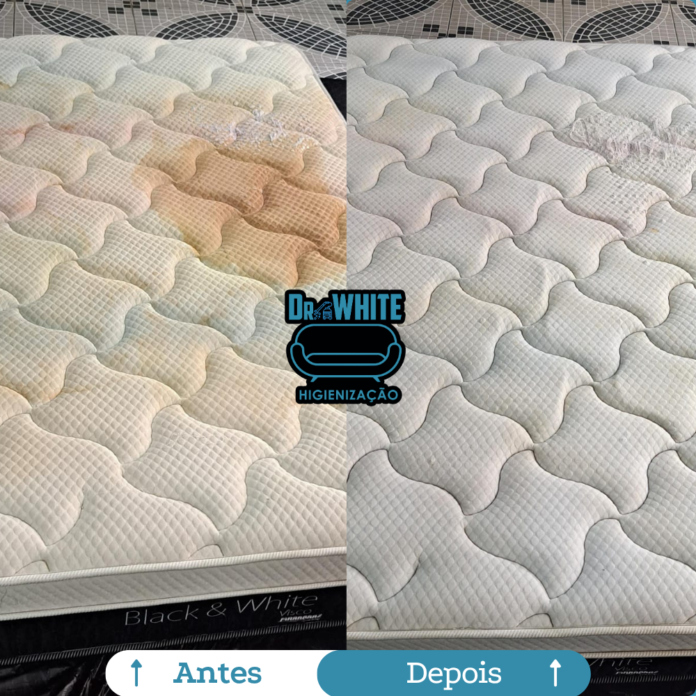 DR White Higienização (2)